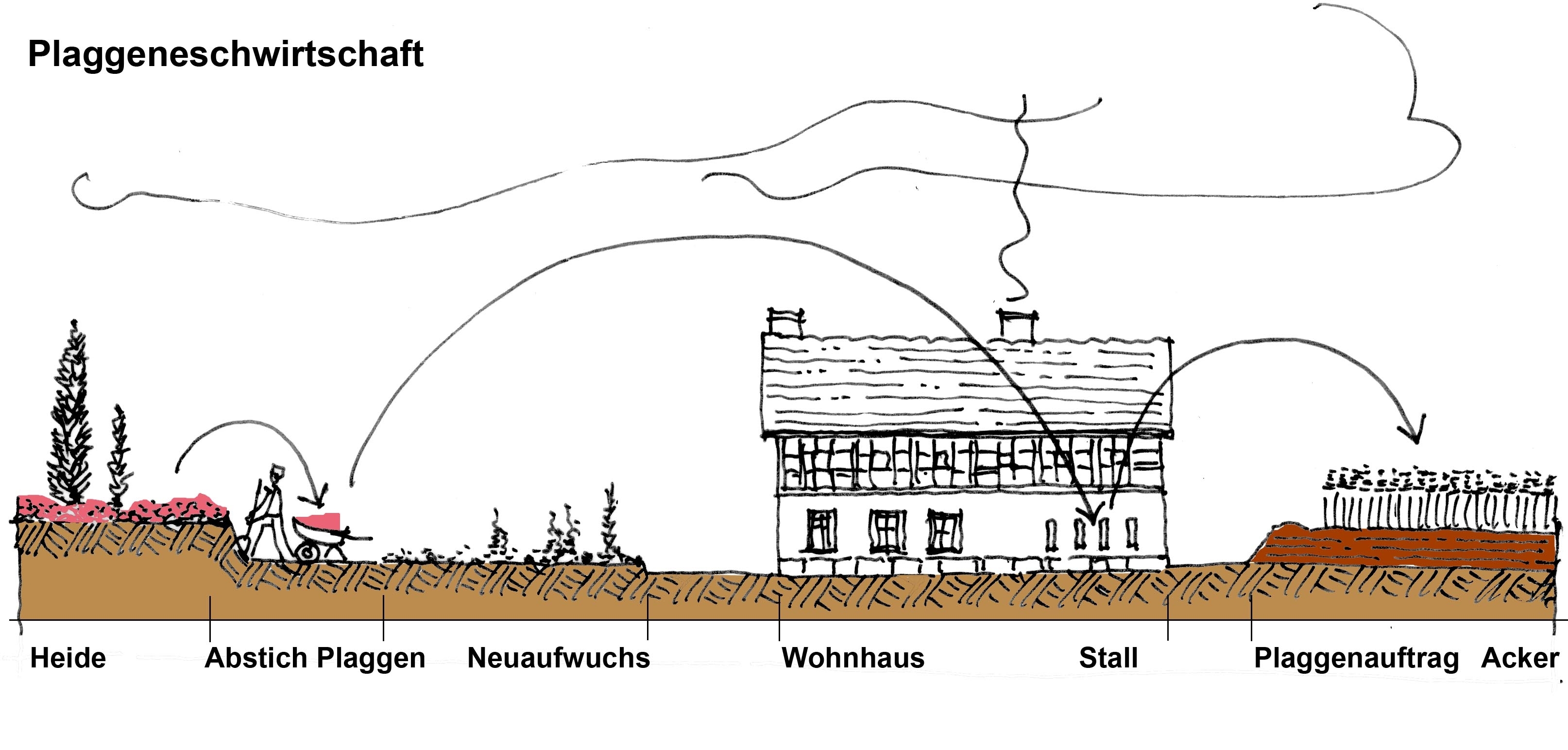 Abb. 1: Schema der Plaggenwirtschaft  (Darstellung: K. Thierer)
